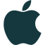 Apple Icon